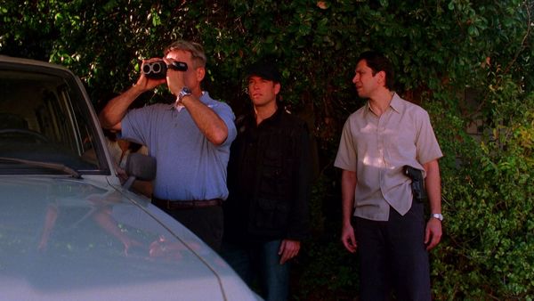 NCIS - Exumação