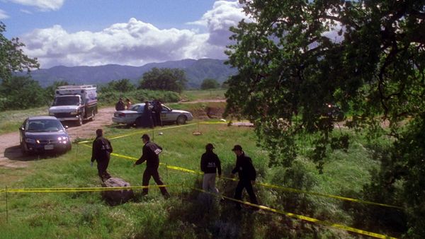 NCIS LT - Glóbulo rojo