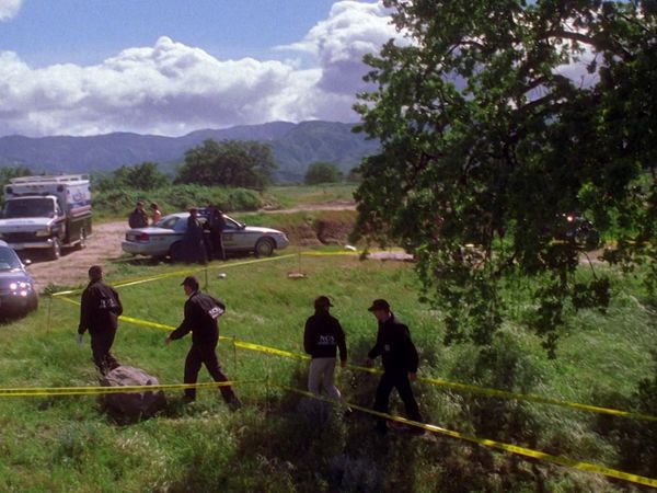 NCIS LT - Glóbulo rojo