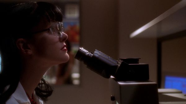 NCIS LT - Agua negra