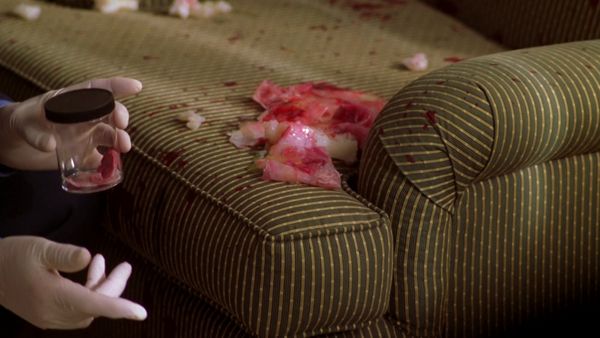 NCIS - Banho de Sangue