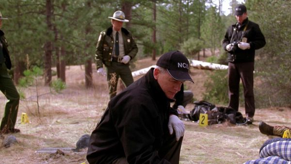 NCIS LT - Voraz
