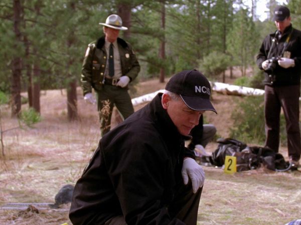 NCIS LT - Voraz