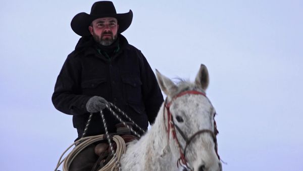 Mountain Men - The Harvest (2020)