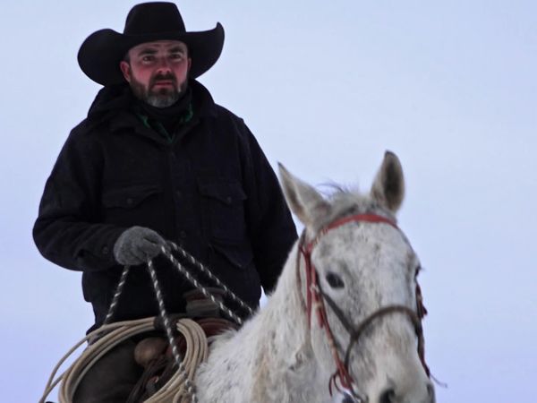 Mountain Men - The Harvest (2020)
