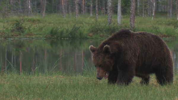 Mountain Men - Meltdown: Tornado Alley (2021)