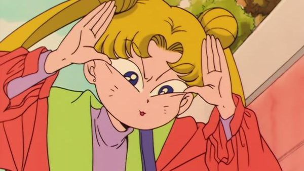 Sailor Moon - Loved and Chased: Luna's Worst Day Ever
