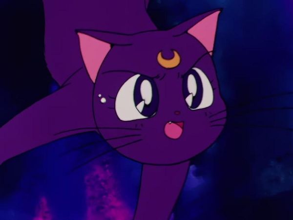Sailor Moon - Rubeus the Heartless: The Tragic Sisters