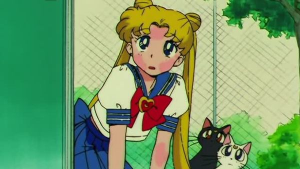 Sailor Moon - The Shocking Moment: Everyone's Identities Revealed