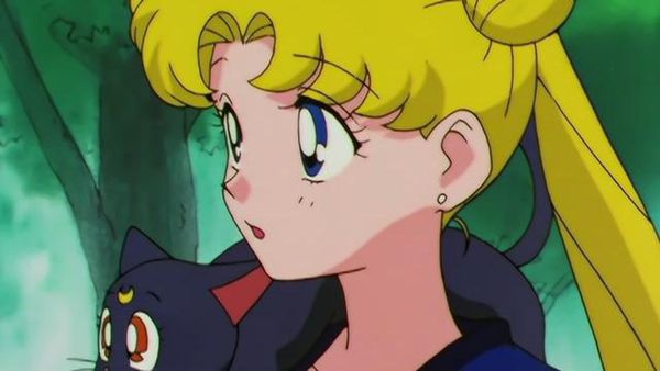 Sailor Moon - Farewells and Encounters: The Transitioning Stars of Destiny
