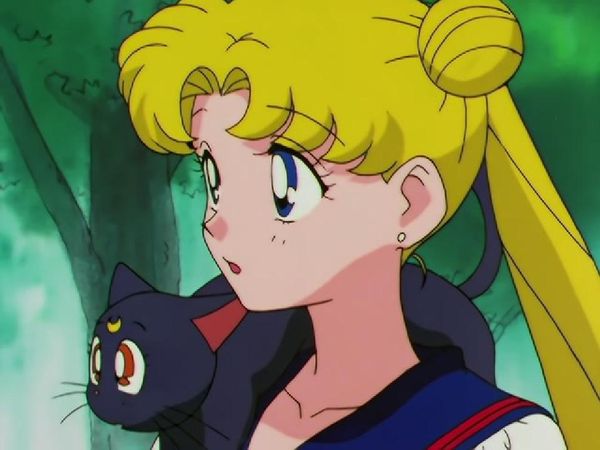 Sailor Moon - Farewells and Encounters: The Transitioning Stars of Destiny