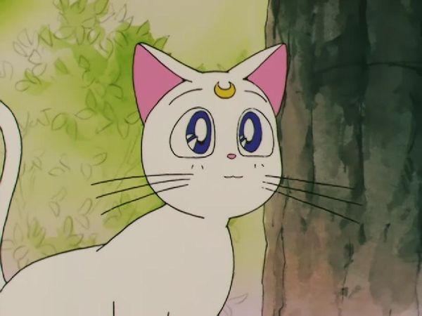 Sailor Moon - Artemis's Adventure: The Monster Animal Kingdom