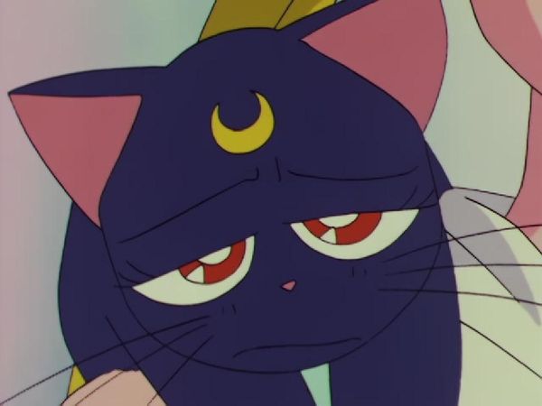 Sailor Moon - Dispute Over Love: Minako and Makoto's Conflict
