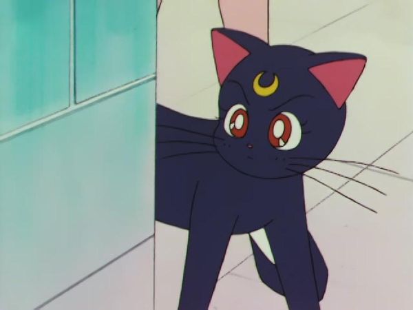 Sailor Moon - The Targeted Kindergarteners: Venus to the Rescue