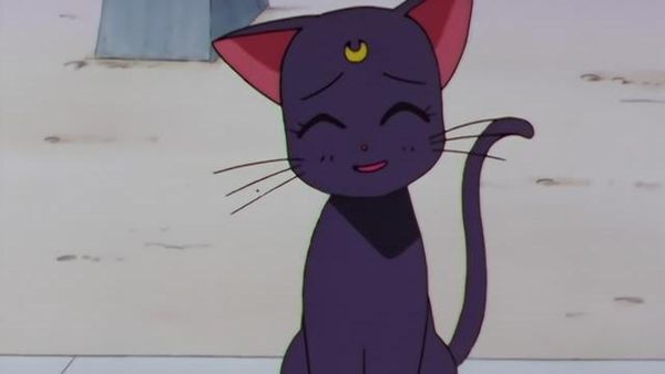 Sailor Moon - Luna's Discovery: The Real Face of Yaten