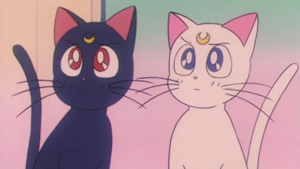 Sailor Moon - The Dark Gate Is Completed? The Targeted Elementary School