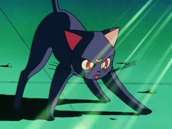 Sailor Moon - Awaken the Sleeping Beauty: Mamoru's Distress