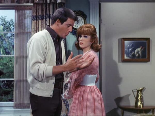 Petticoat Junction - The Other Woman