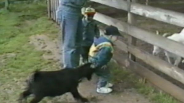 Funniest Pets & People - Watch Out!
