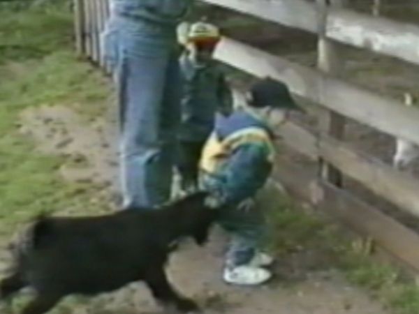 Funniest Pets & People - Watch Out!