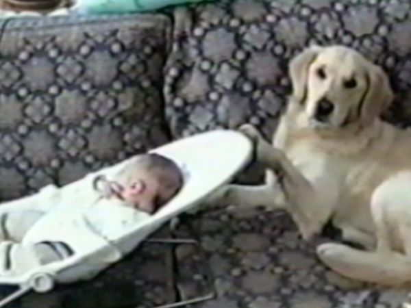 Funniest Pets & People - A day at the races