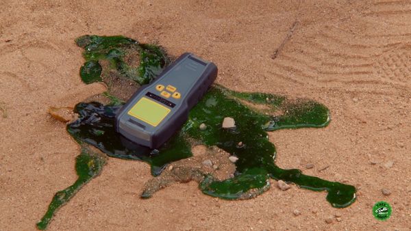 T-Rex Ranch - The Missing T-Rex Link / Dino Kickball / Dinosaurs & Farewell to Despicable G