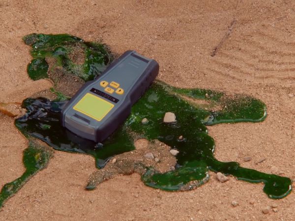 T-Rex Ranch - The Missing T-Rex Link / Dino Kickball / Dinosaurs & Farewell to Despicable G