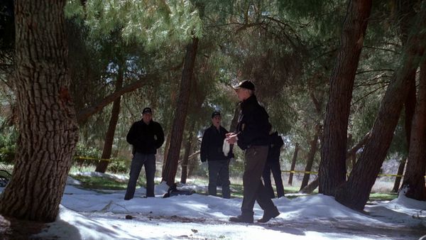 NCIS - Homem De Gelo