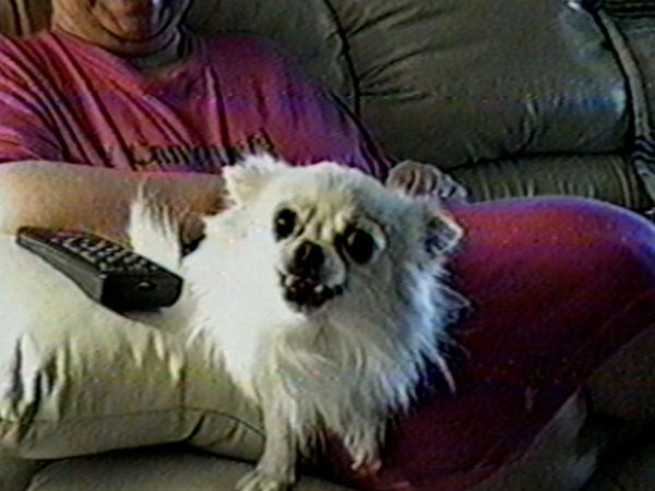 Funniest Pets & People - Be one with nature