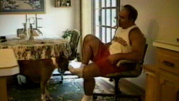 Funniest Pets & People - Seize the day