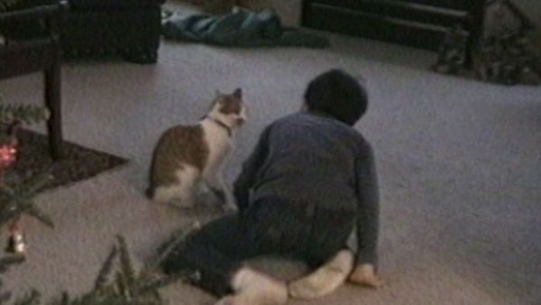 Funniest Pets & People - Hilarious