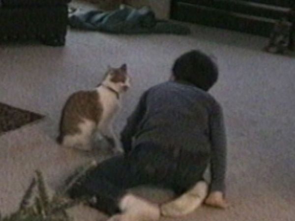 Funniest Pets & People - Hilarious