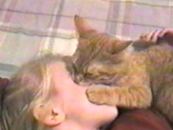 Funniest Pets & People - The swing of things