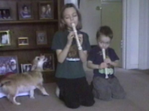 Funniest Pets & People - Soaked