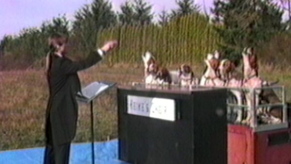 Funniest Pets & People - Name that tune