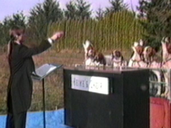 Funniest Pets & People - Name that tune