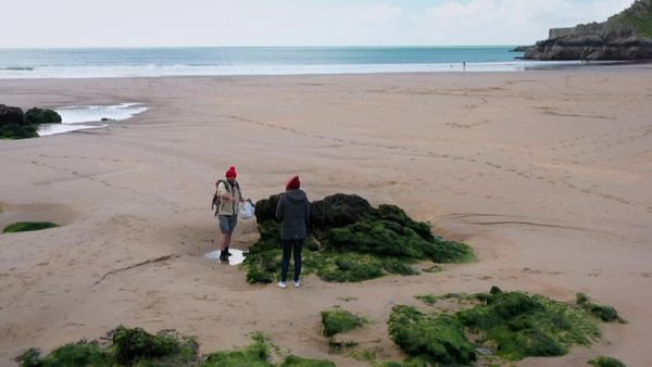 Antiques Road Trip - Tim Medhurst and Izzie Balmer, Day 5