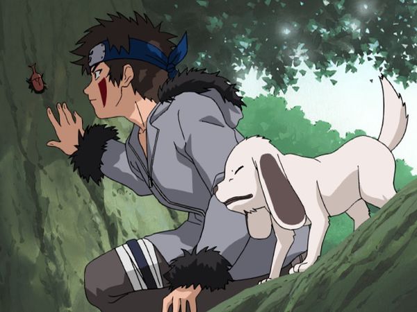 Naruto - What's the Difference? Don't All Insects Look Alike?