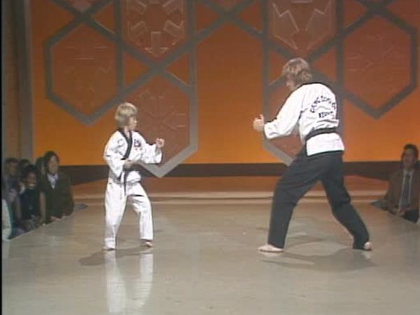 The Best Of Flip Wilson - Ted Knight, The Pointer Sisters, Chuck Norris, Phillip Paley