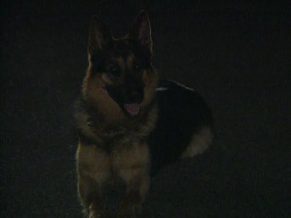 To Serve and Protect - Episode 12