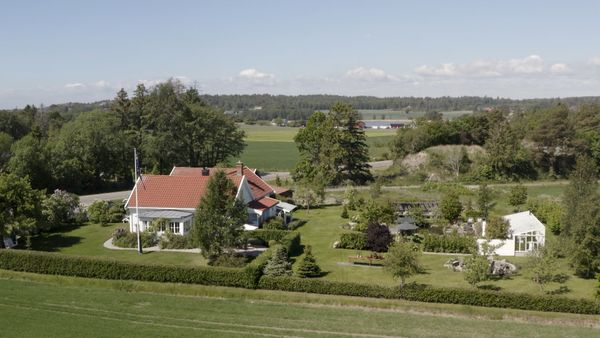 Halvors äventyrliga värld - Avsnitt 104