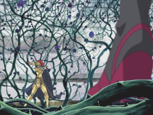 Yu-Gi-Oh! 5D's - Battle With the Black Rose