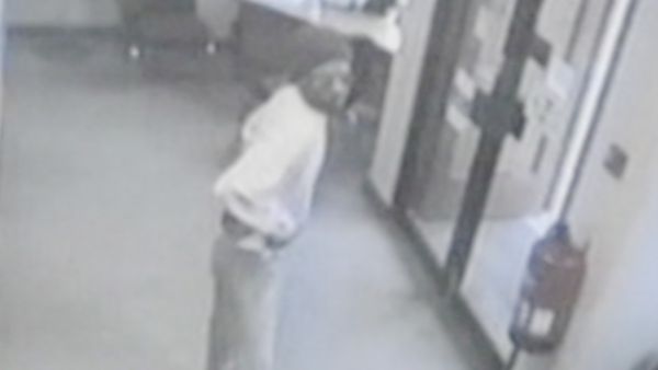 Stupid Suspects - Celebrity Shoplifter