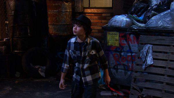 Sam & Cat - Bode Novo