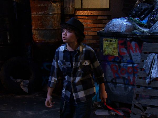 Sam & Cat - Bode Novo