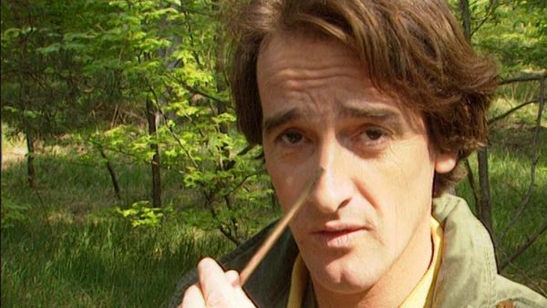 C'est Pas Sorcier - La forêt enchantée ca vous branche