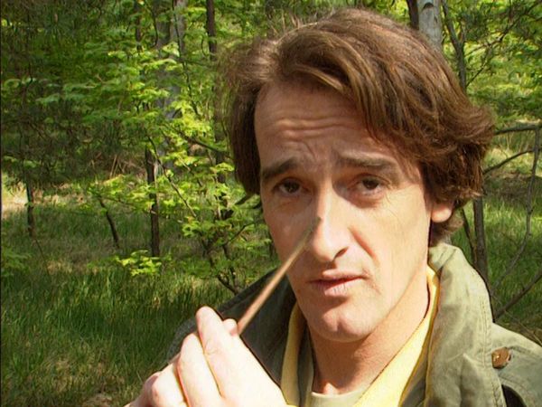 C'est Pas Sorcier - La forêt enchantée ca vous branche
