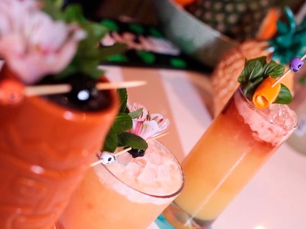 Studio Bar Barras LATAM - Pisco Swizzle / Jungle Bird / Kontiki Expedition