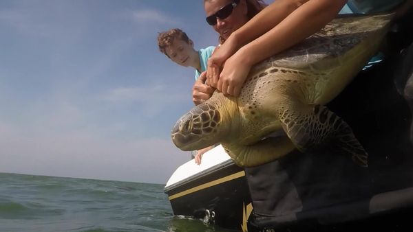 The Outsiders Club - Paddleboarding/Turtle Release