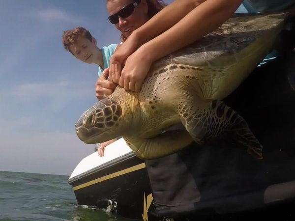 The Outsiders Club - Paddleboarding/Turtle Release